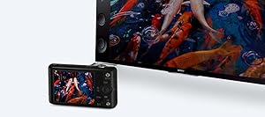 Sony, RX100M3, advanced camera, 20.1mp, 1.0 type sensor, 3 inch lcd