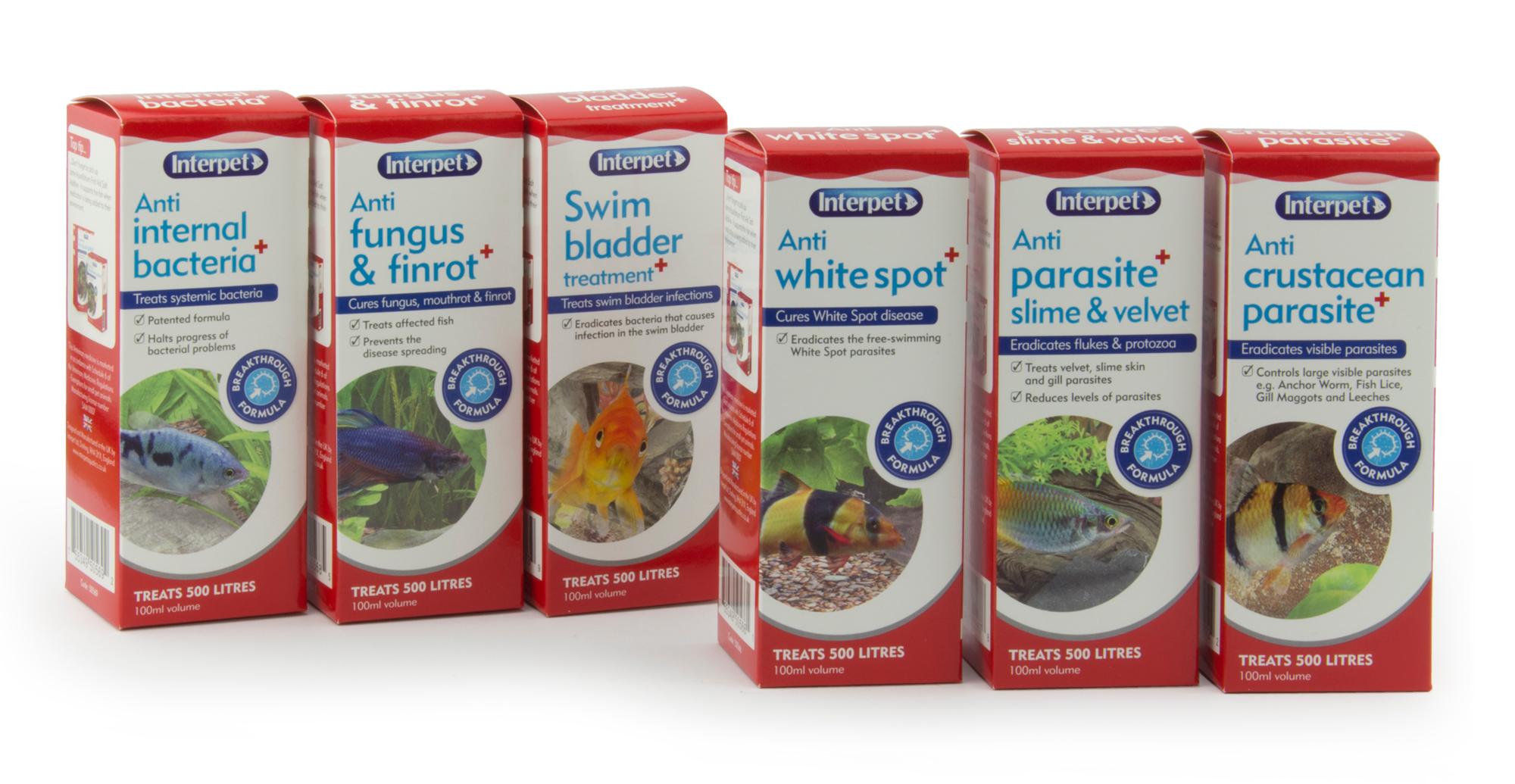 Interpet Anti Bacteria Aquarium Fish Treatment, 100 ml Amazon.co.uk