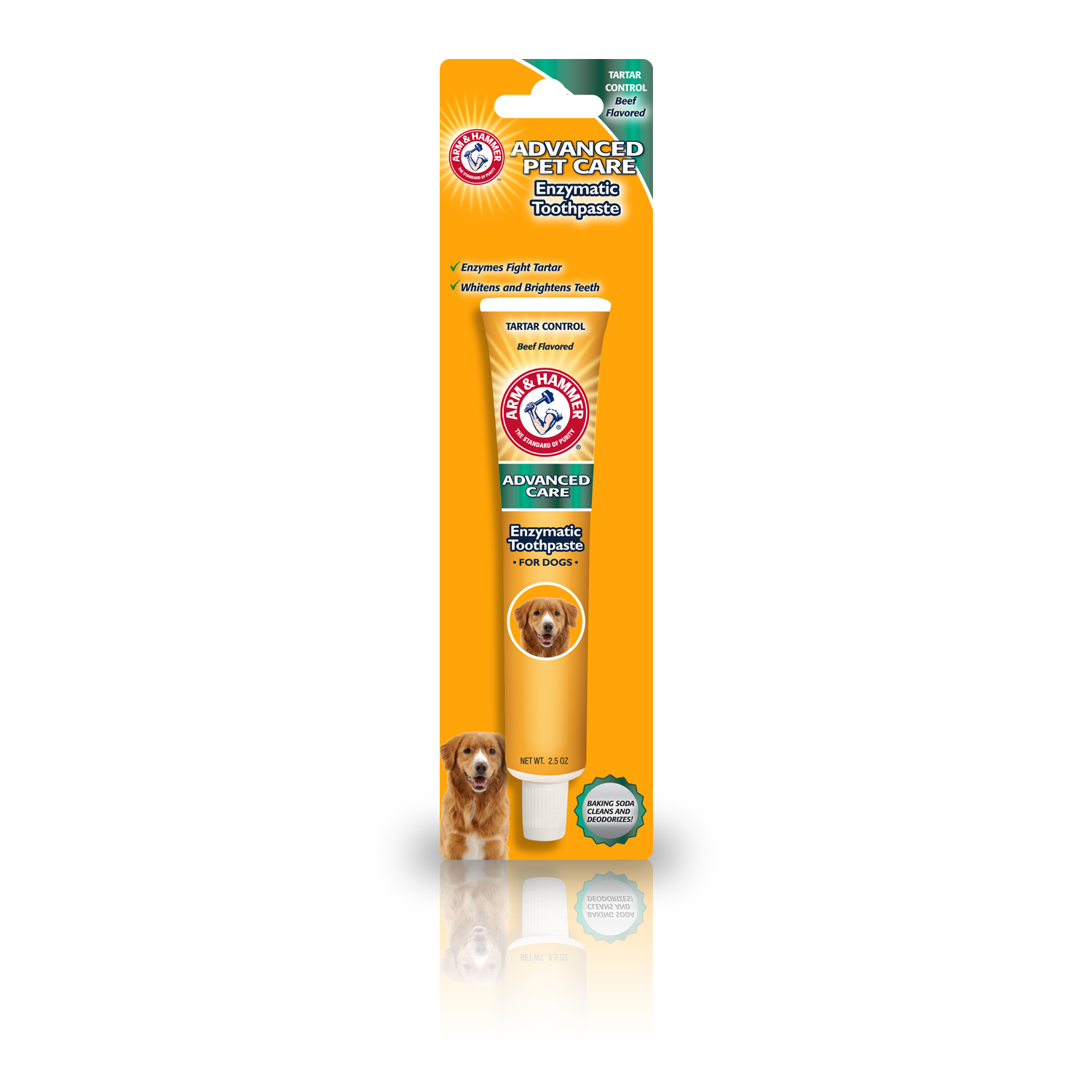 Arm & Hammer Advanced Care Tartar Control Beef Flavoured Toothpaste and
