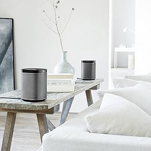 sonos play 1 2 room starter set