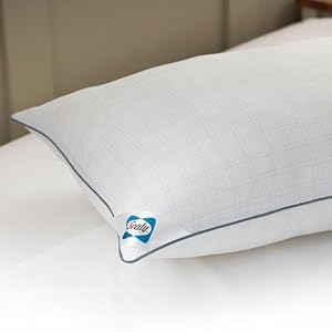 sealy clusterfill pillow