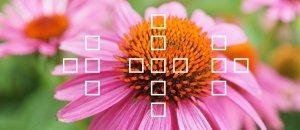 Sony, Alpha A58, Translucent Mirror Interchangeable Lens Camera, 18-55mm Lens