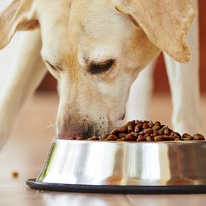 vitalin original 15kg