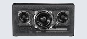 Sony SRSX55 Portable Wireless Bluetooth Speaker - Black: Amazon.co.uk