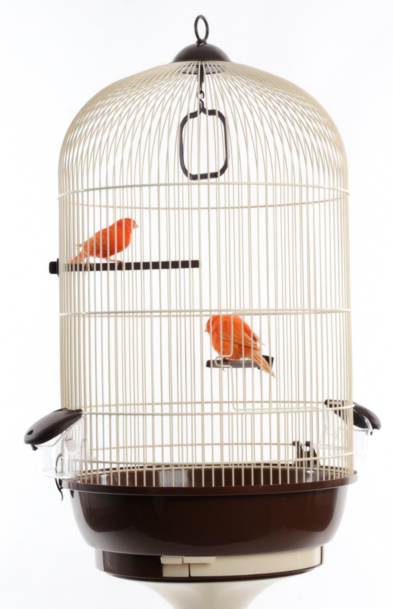 Riviera Mandelieu Round Cage with Stand, Medium, 39.3 x 69 cm Amazon