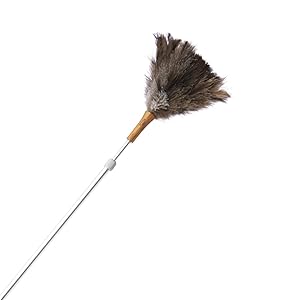 telescopic ostrich feather duster
