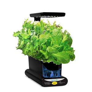 Aerogarden Sprout Official Site - Garden Black Indoor
