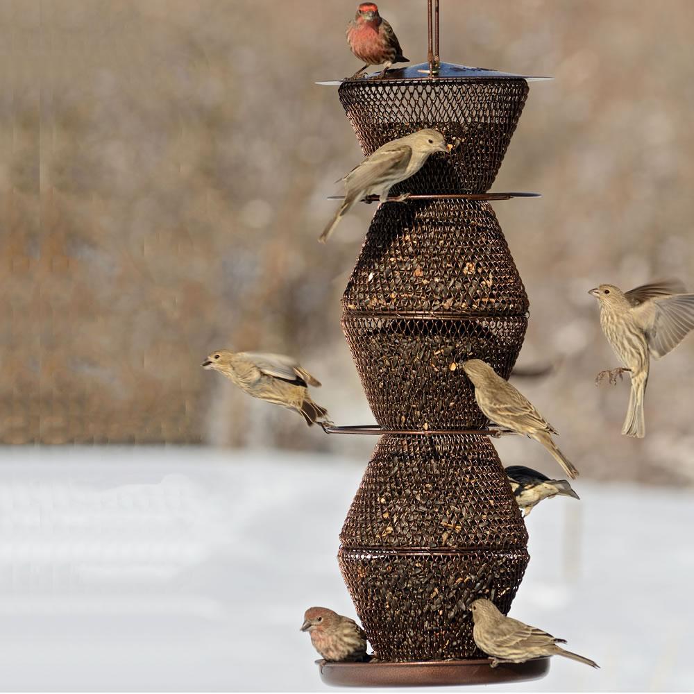 PerkyPet Large Five Tier Bird Feeder All Metal Wild Bird Feeder for