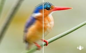 Sony, SAL55300, 55-300mm, f/4.5-5.6 SAM Telephoto Lens, Camera Lens