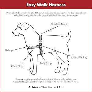 easy walk harness uk