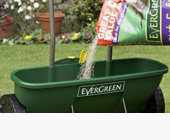 Gardening & Plants