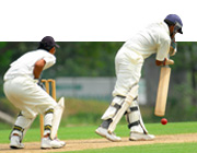 Cricket