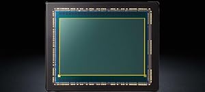 35-mm-Kleinbildsensor mit 12,2 Megapixeln für hervorragende Bildqualität