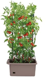Bio Green GRBX Grow Box mit Rankgitter und