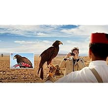 Behalten Sie die Kontrolle – Multifunktionsobjektivring