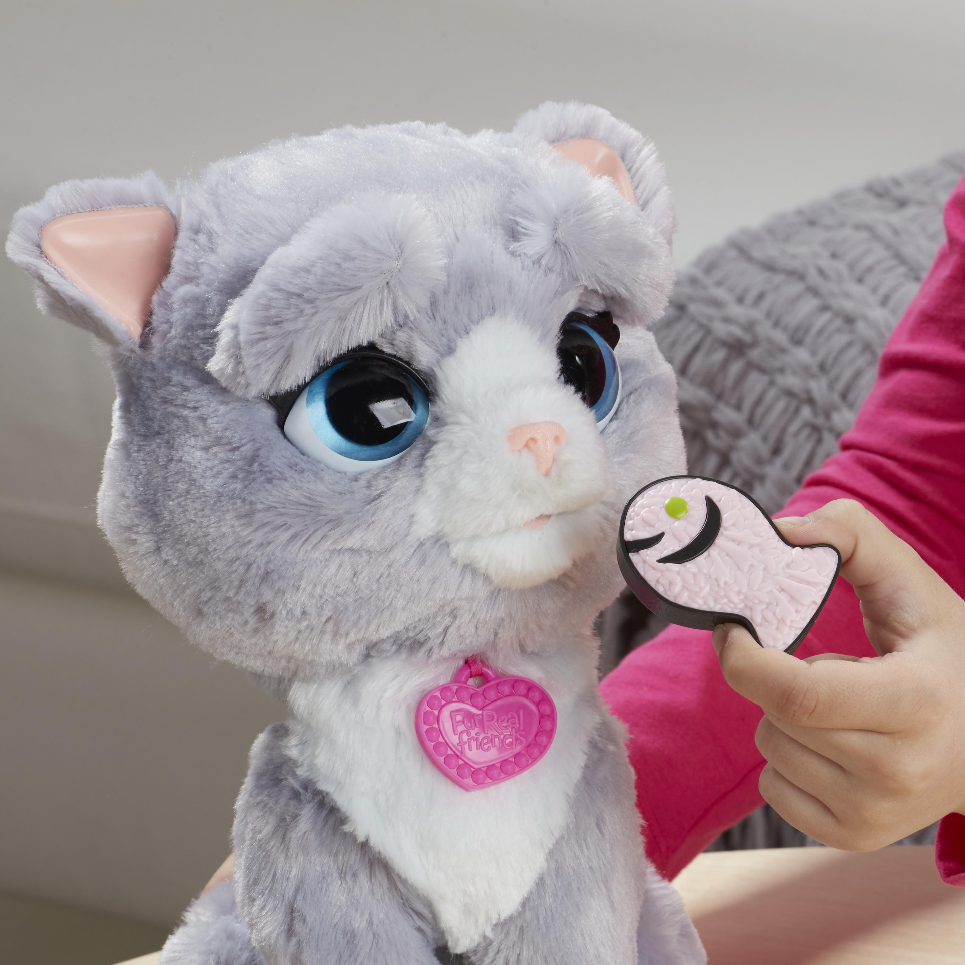 Hasbro FurReal Friends B5936EU4 Katze Bootsie, Plüsch Amazon.de Spielzeug