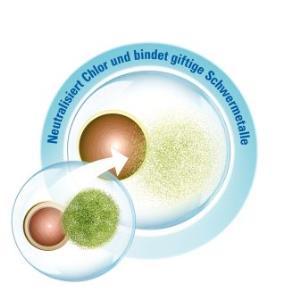 Schützt zuverlässig gegen schädliche Substanzen im Leitungswasser