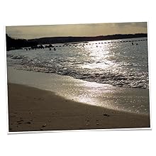 Nikon_ COOLPIX_L340_Sensor