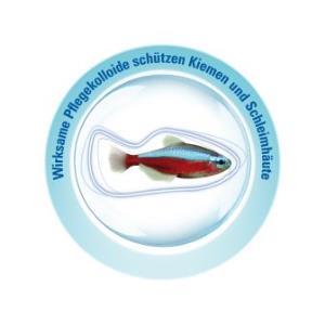 Tetra AquaSafe - Dient dem Schleimhautschutz der Fische