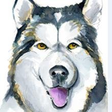 Aquarell Beispiel für Tombow ABT Dual Brush Pen