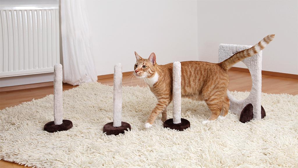 Trixie Cat Agility Slalom Und Reifen