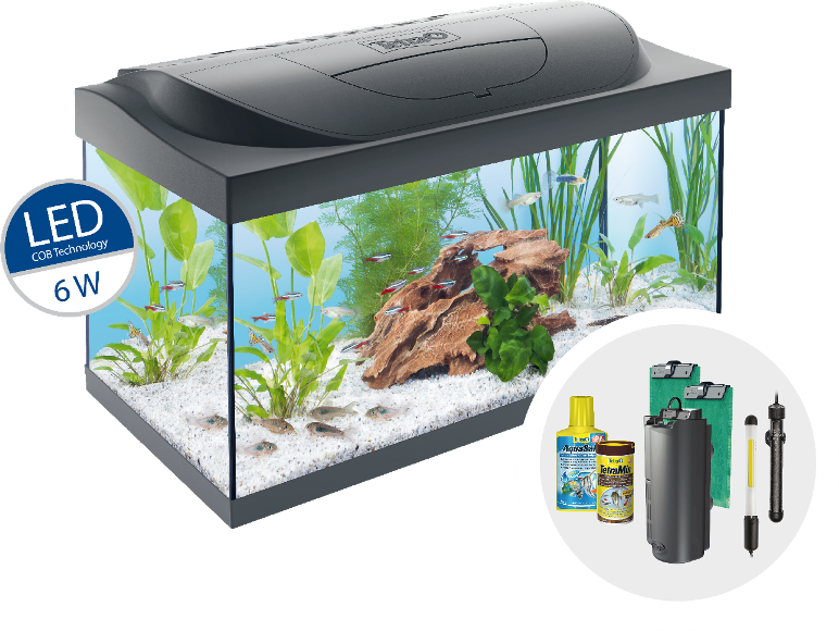Tetra Starter Line AquariumKomplettset mit LEDBeleuchtung stabiles 54