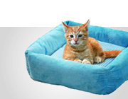 BETTEN & SOFAS