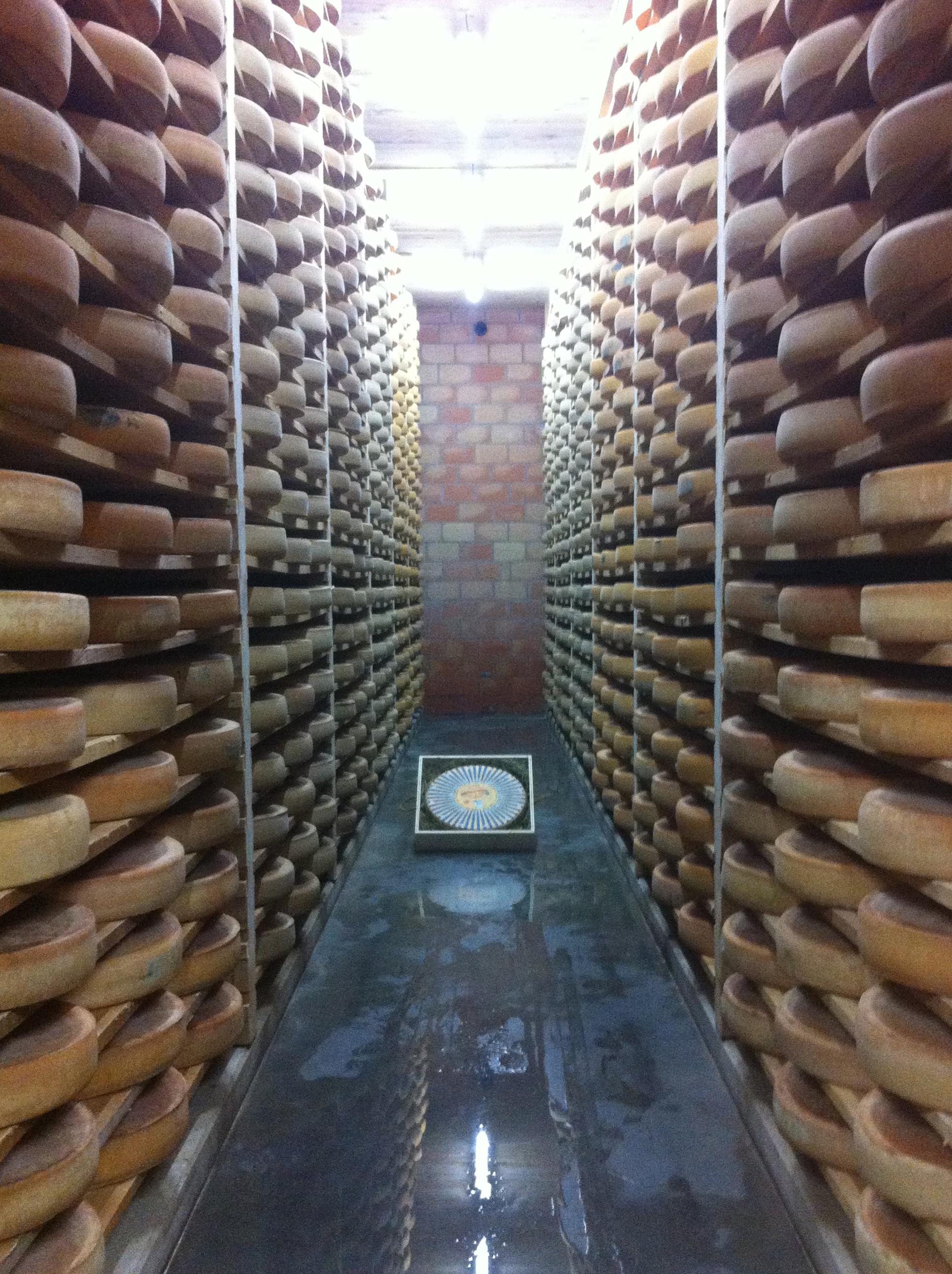 Société De Fromagerie Les Suchaux Et Renaudumont