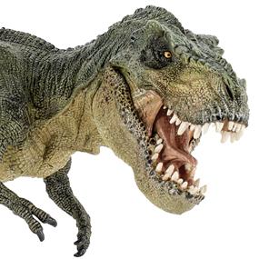 Deux Dinosaures Tyrannosaurus Rex Reposent à La Lumière De Tôt Le Matin, 