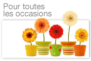 Pour toutes les occasions