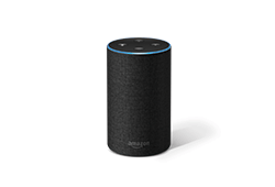 Echo