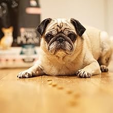 Amazon Co Jp プロプラン 全犬種 成犬用 健康的な体重ケア チキン 2 5kg ドッグフード ペット用品