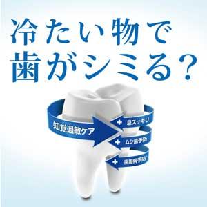 Amazon 医薬部外品 薬用シュミテクト やさしくホワイトニング 知覚過敏予防 歯磨き粉 90g シュミテクト 大人用ハミガキ粉 通販