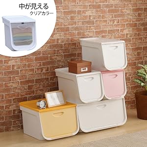 Amazon アイリスオーヤマ フラップ ボックス Sサイズ 幅27 奥行42 高さ31 3cm クリア Flp S 収納ケース ボックス オンライン通販