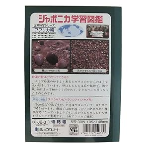 Amazon ショウワノート 学習帳 ジャポニカ 連絡帳 1日1ページ A6サイズ 文房具 オフィス用品 文房具 オフィス用品