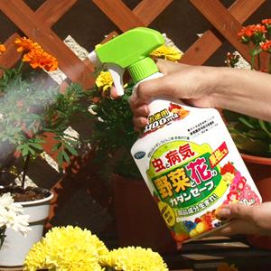 Amazon Co Jp カダン 花と野菜のやさしい殺虫 殺菌 ハンドスプレー セーフ 250ｍｌ Diy 工具 ガーデン