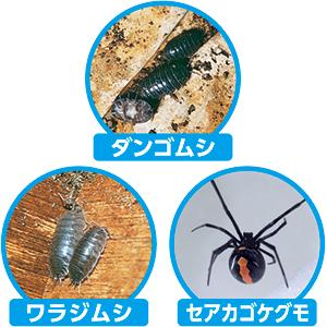 Amazon フマキラー ダンゴムシカダン粉剤 徳用 1 2kg 園芸用害獣 害虫忌避剤