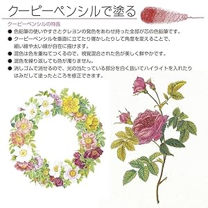 Amazon サクラクレパス 色鉛筆 クーピー 30色 カラーオンカラー Fy30nu 色鉛筆 文房具 オフィス用品 Amazon サクラクレパス 色鉛筆 クーピー 30色 カラーオンカラー Fy30nu 色鉛筆 文房具 オフィス用品