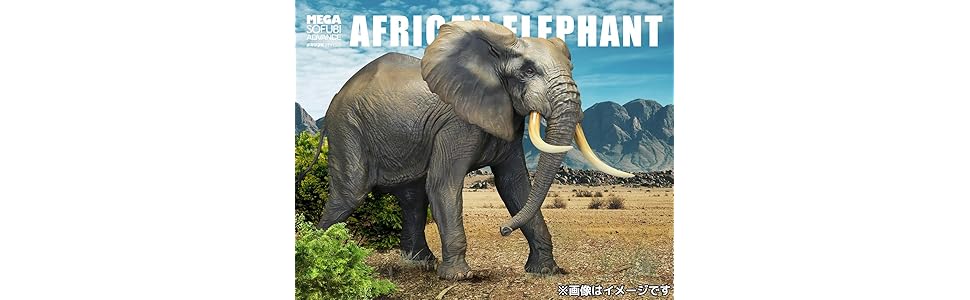 Amazon メガソフビアドバンス アフリカゾウ 約300mm Pvc製 塗装済み完成品フィギュア Msa 007 フィギュア ドール 通販 Amazon メガソフビアドバンス アフリカゾウ 約300mm Pvc製 塗装済み完成品フィギュア Msa 007 フィギュア ドール 通販