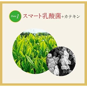 スベルティ スマート菌