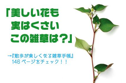 Mua 雑草手帳 散歩が楽しくなる Tren Amazon Nhật Chinh Hang 22 Fado