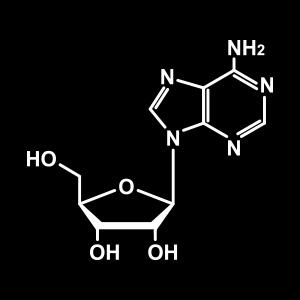 Amazon アデノゲン 薬用スカルプトニック 130g 医薬部外品 アデノゲン Adenogen ビューティー 通販