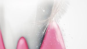 極細毛ブラシで歯周ポケットの歯垢も除去