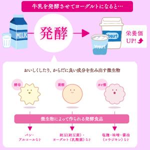 発酵のチカラに着目