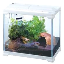 Amazon ジェックス エキゾテラ レプテリア300 Highm ガラス製ケージ ジェックス 飼育ケース ケージ 通販