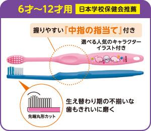 歯の生え替わり時期も、しっかり磨ける