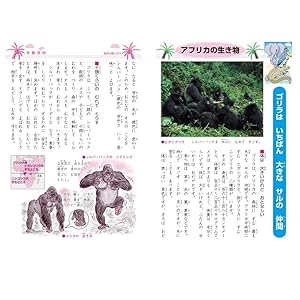 Amazon ショウワノート ドラえもん学習帳 国語 15マス 十字補助線入り Kl 10 文房具 オフィス用品 文房具 オフィス用品