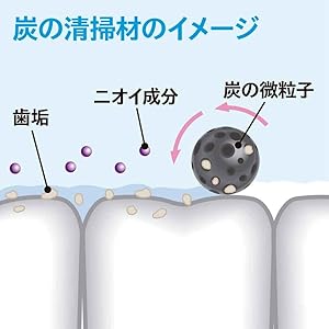 Amazon スミガキ 炭配合 清掃剤 口臭予防 歯みがき ハーブミントの香り 100ｇ スミガキ 大人用ハミガキ粉 通販