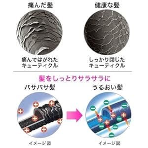 マイナスイオンでうるおい髪へ