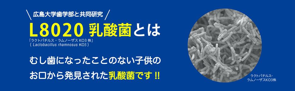 L8020 乳酸菌 歯周病 むし歯 殺菌剤不使用 ノンアルコール 低刺激